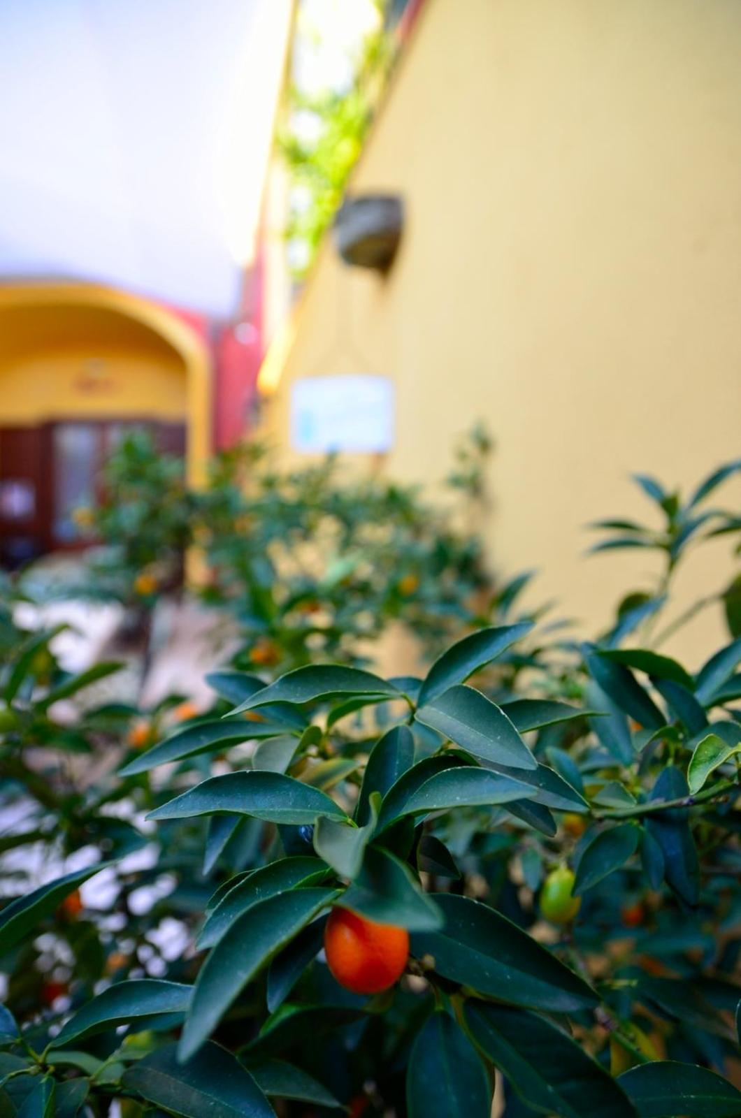 Manouche Osteria B&B San Leucio Eksteriør billede